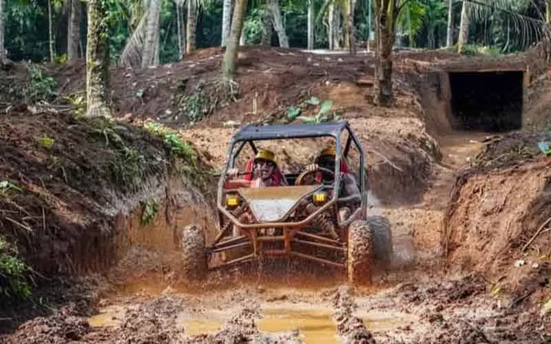 bali buggy bali buggy